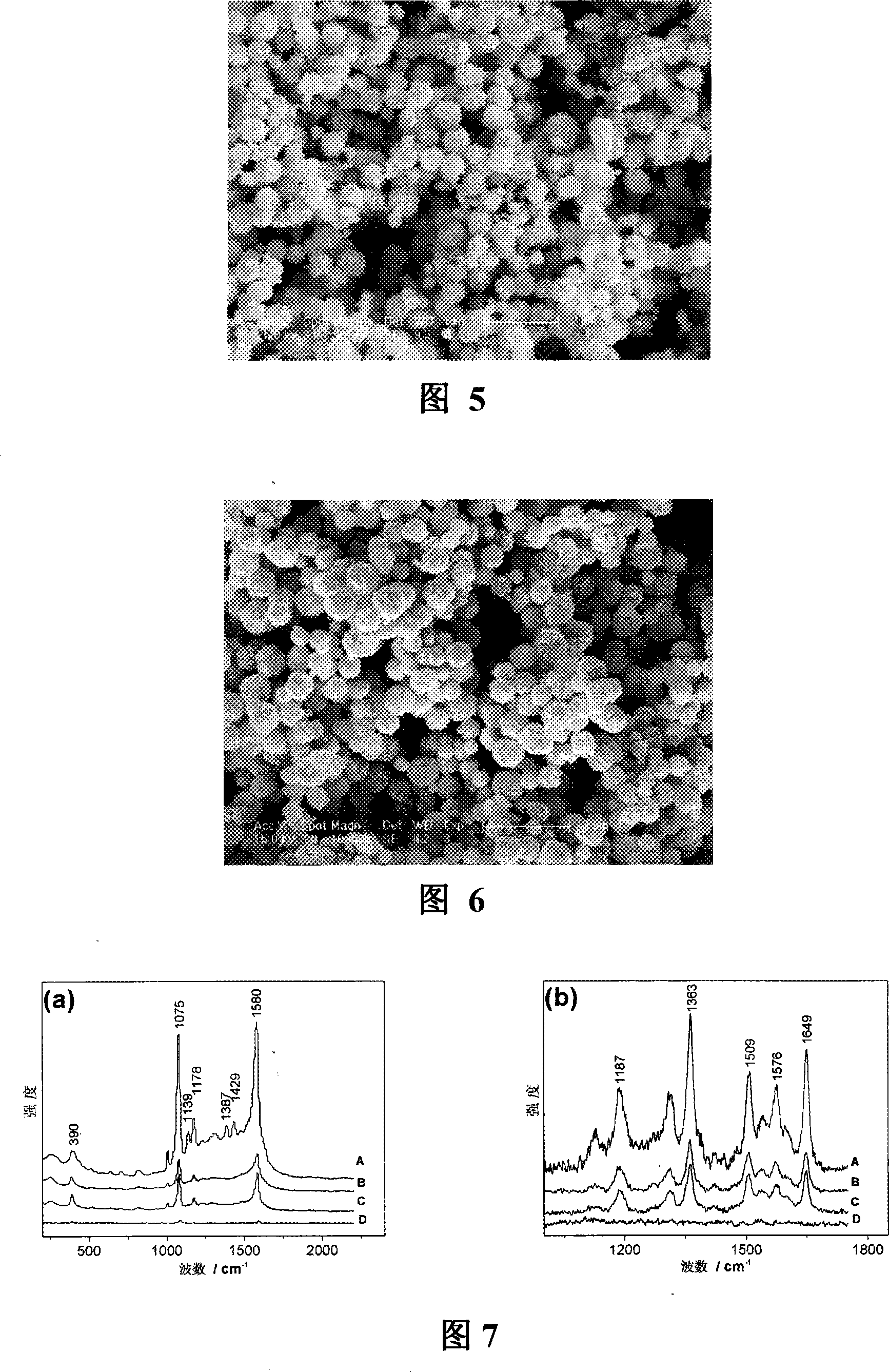 Method for preparing gold micron crystal with surface enhanced Raman active branched surface