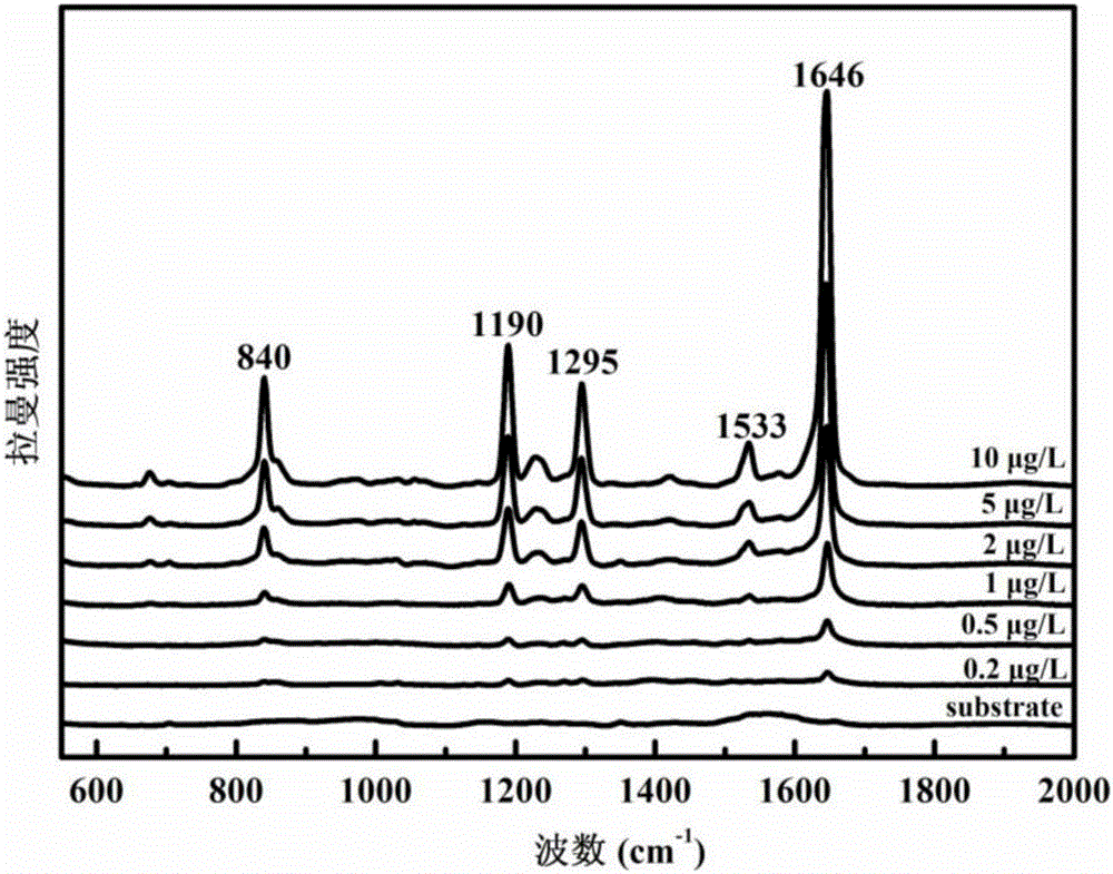 Method using surface enhanced raman spectroscopy to detect paraquat