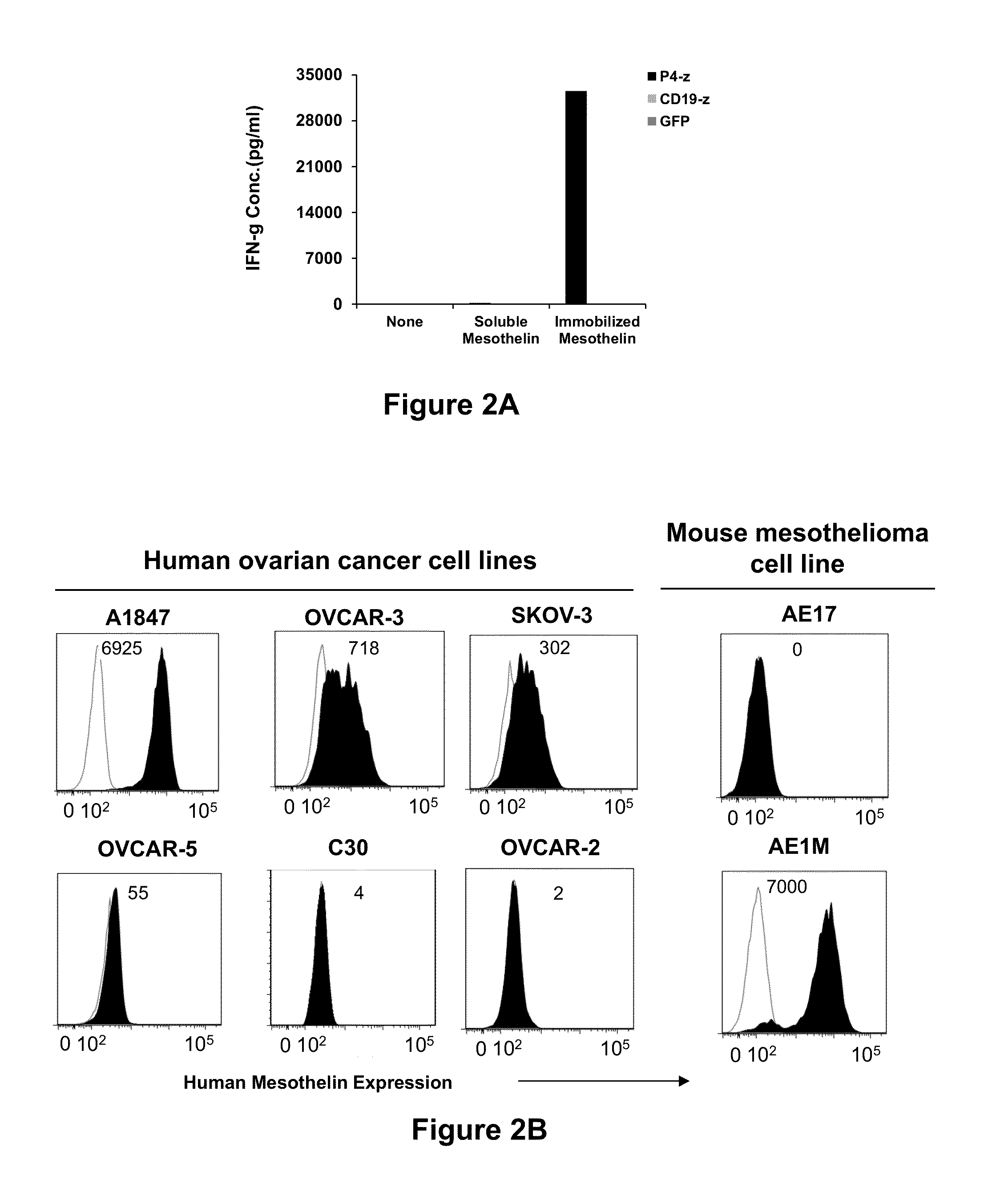 Fully human, anti-mesothelin specific chimeric immune receptor for redirected mesothelin-expressing cell targeting