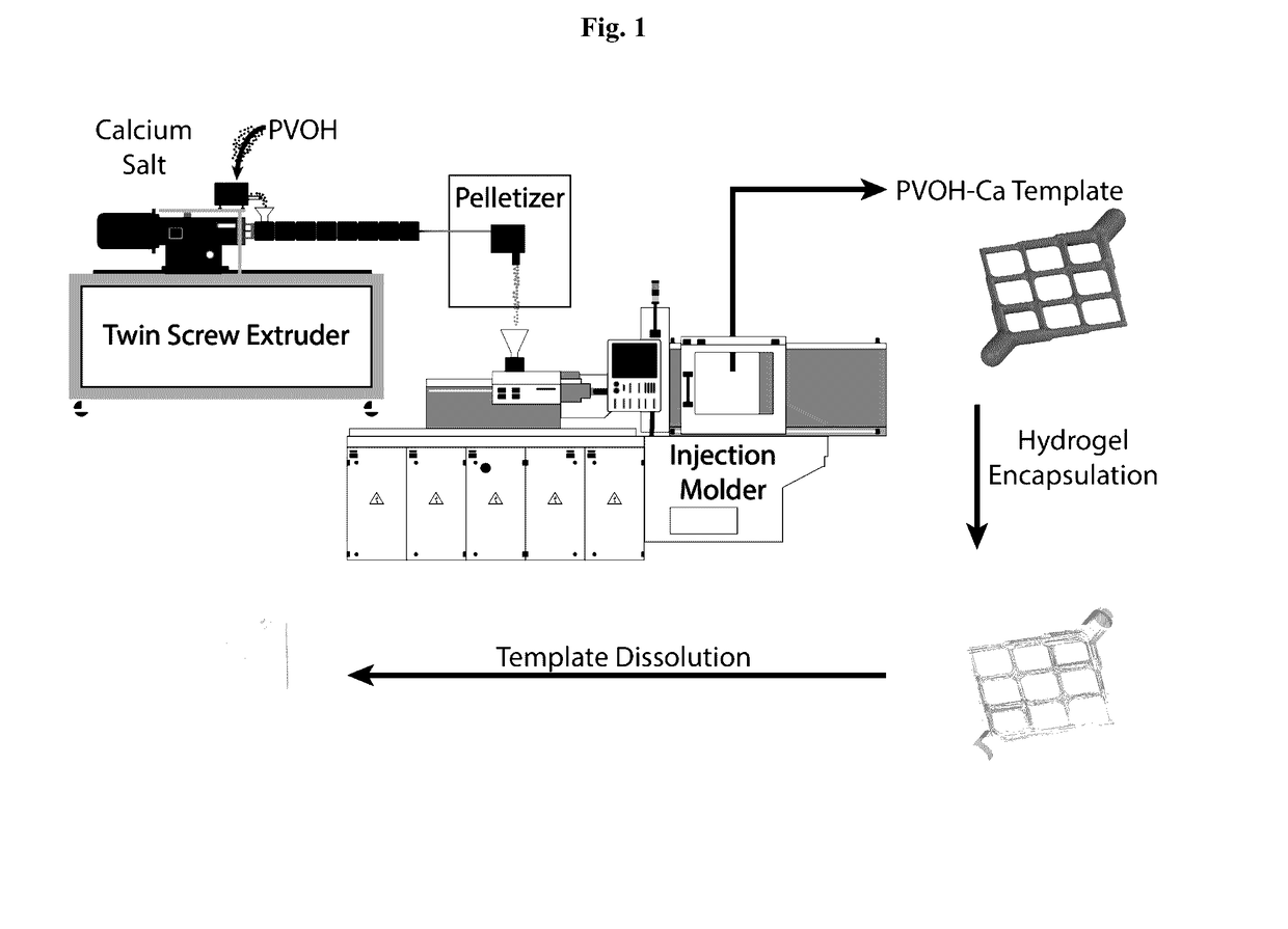 Sacrificial Templates Comprising a Hydrogel Cross-linking Agent and Their Use for Customization of Hydrogel Architecture