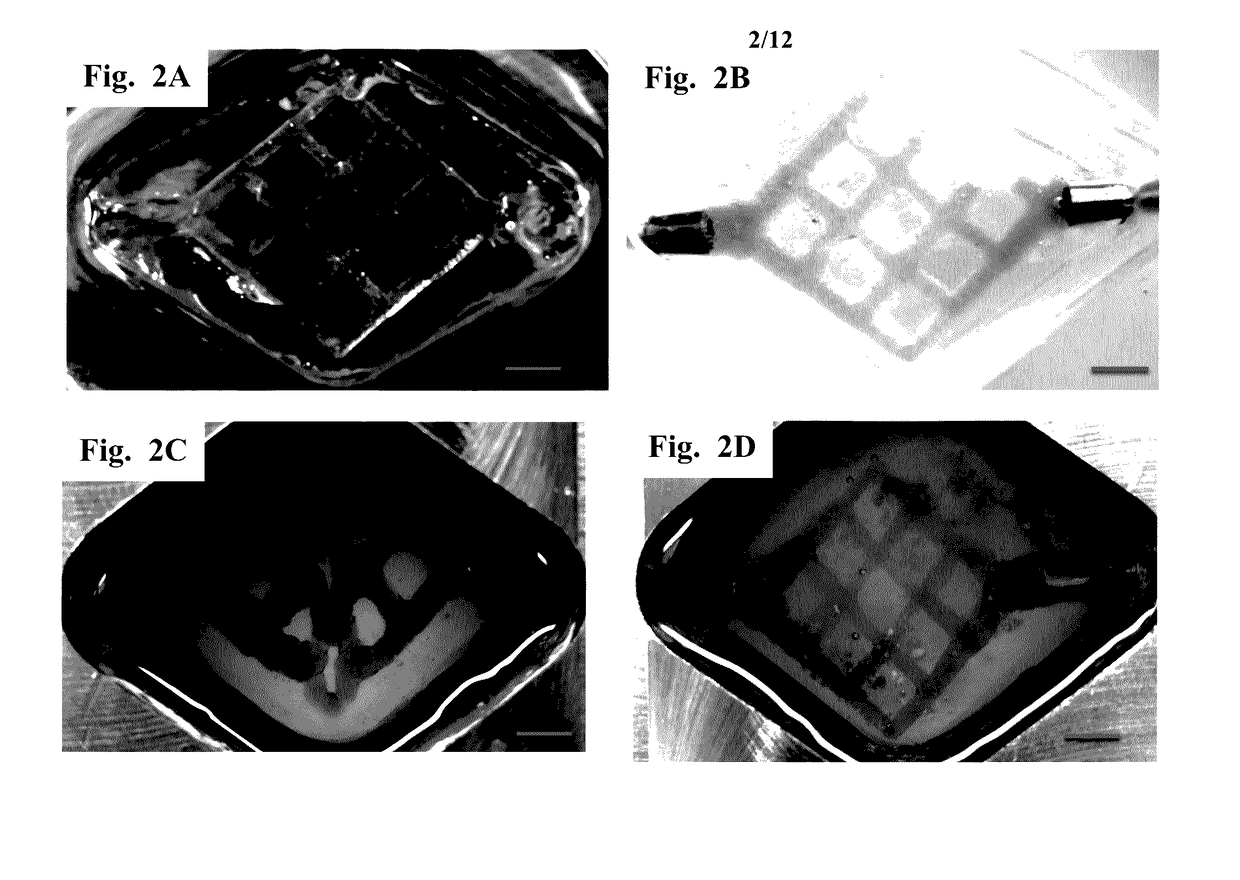 Sacrificial Templates Comprising a Hydrogel Cross-linking Agent and Their Use for Customization of Hydrogel Architecture