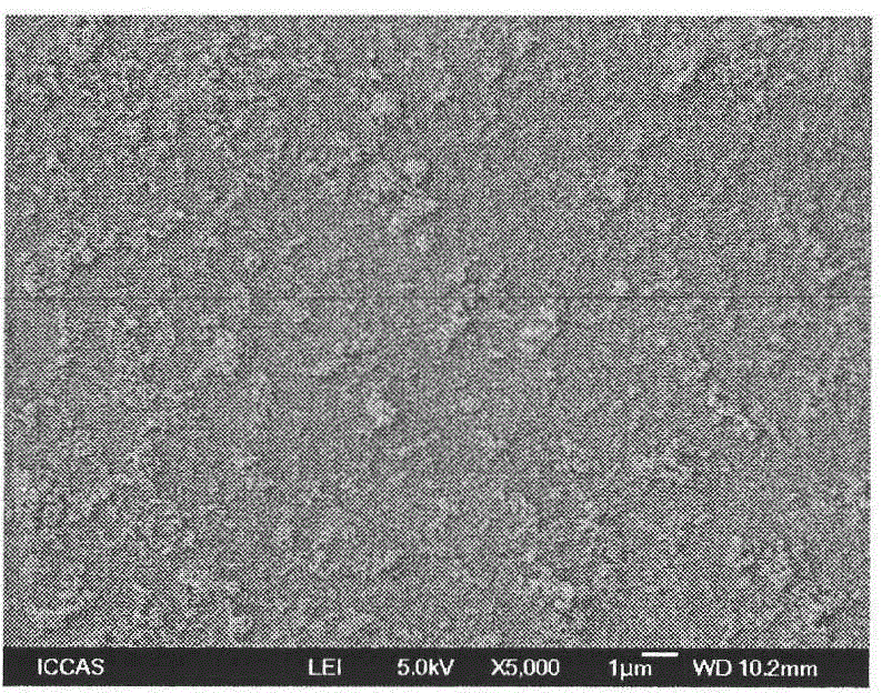 Organic and inorganic microcapsule coating expansible graphite preparation method