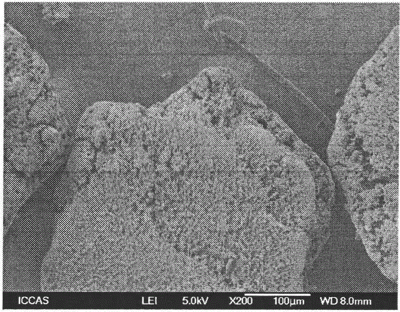 Organic and inorganic microcapsule coating expansible graphite preparation method