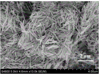 Titanium nitride/silicon nitride/carbon nitride/graphene composite nanomaterial and preparation method thereof