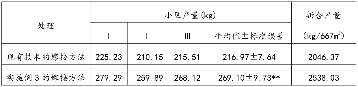 Method of raising bitter gourd seedlings in greenhouse by grafting