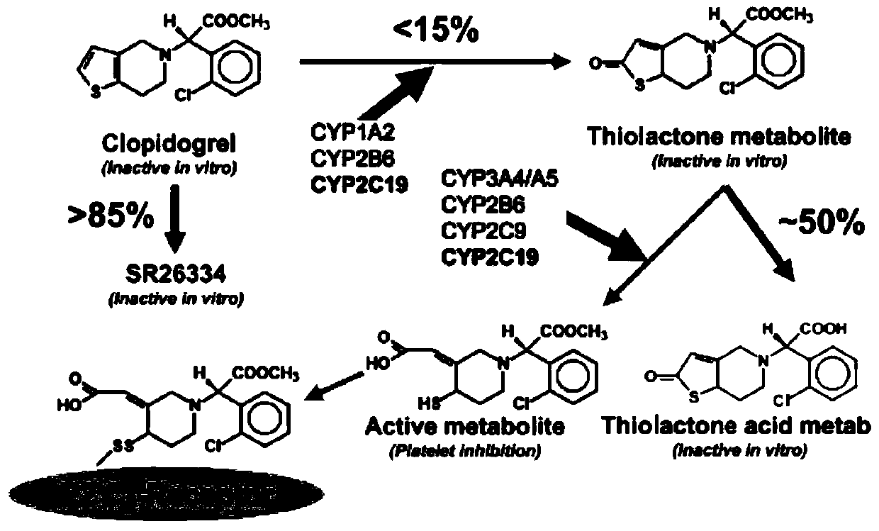 A kind of 1-benzyl-6-methoxycarbonylmethyl tetrahydroisoquinoline derivative, its preparation method and its anti-platelet aggregation application