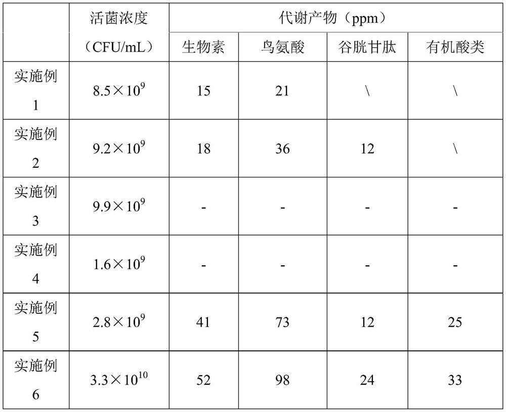 Multi-strain fermentation technology and fermentation product