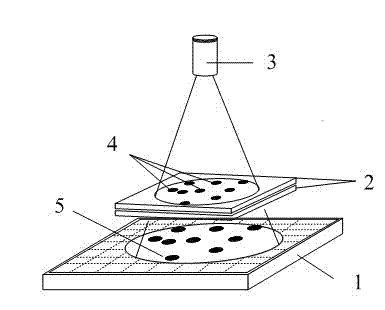 Lensless microscopic imaging method based on optical projection and device thereof