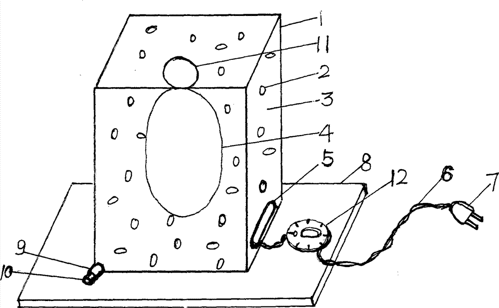 Demonstrator for plant cytoplasm flowing