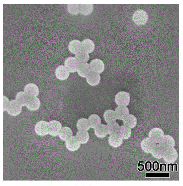 A kind of preparation method of strawberry type organic-inorganic composite particles