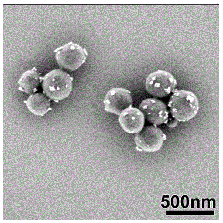 A kind of preparation method of strawberry type organic-inorganic composite particles