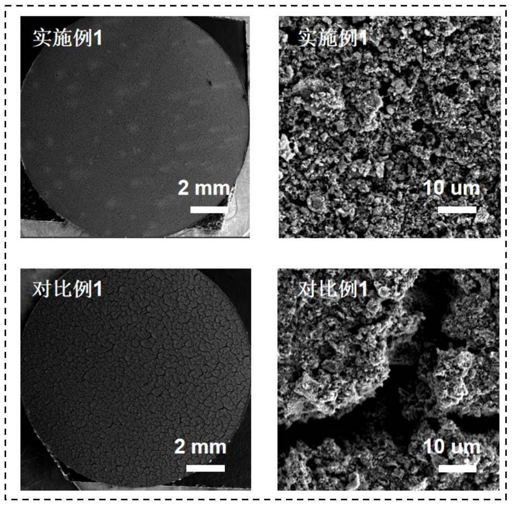 A kind of natural water-based sulfur positive electrode binder and its preparation method and its application in the preparation of lithium-sulfur battery sulfur positive electrode