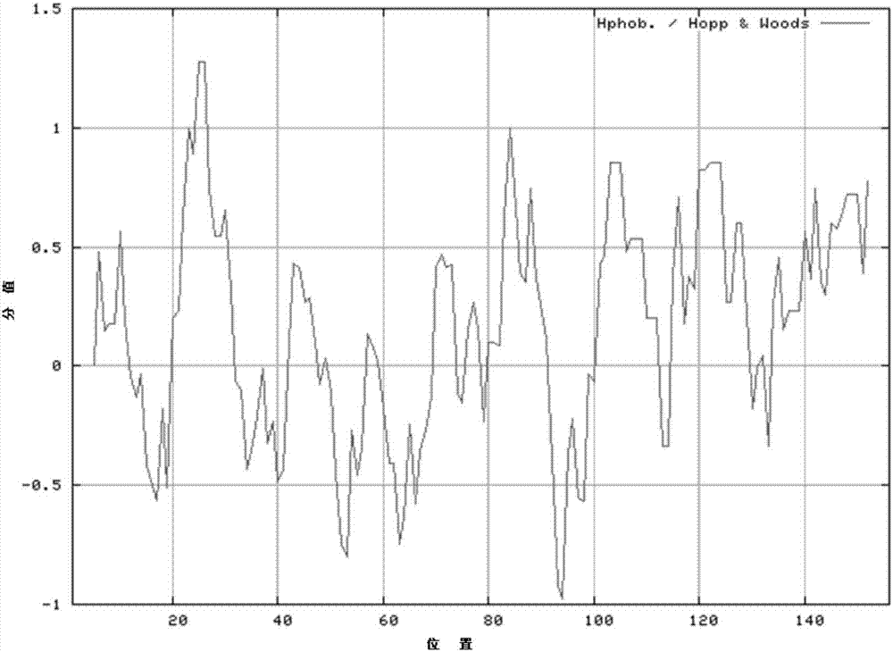 Antigen polypeptide of tumor inhibition factor p16, and application thereof