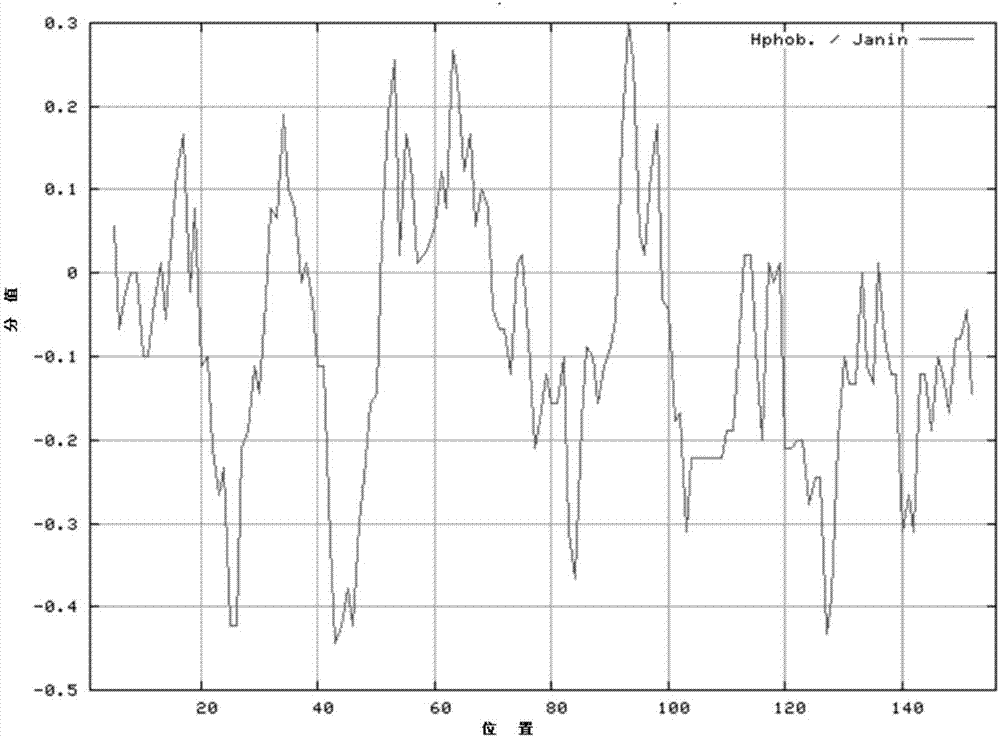 Antigen polypeptide of tumor inhibition factor p16, and application thereof