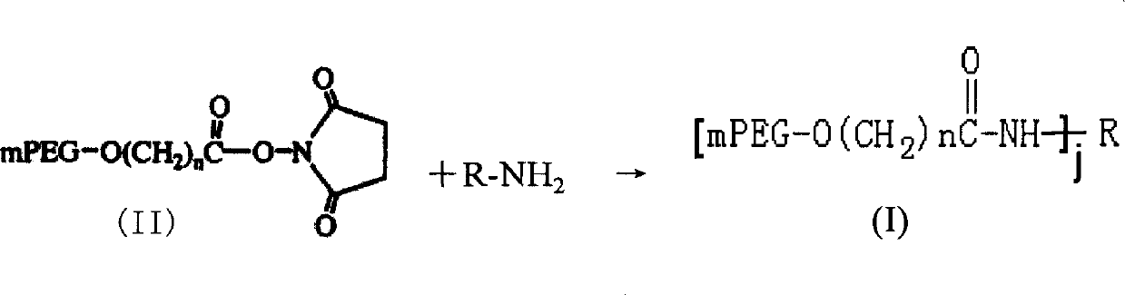 Polyethylene glycol modified L-asparaginyl amine enzyme