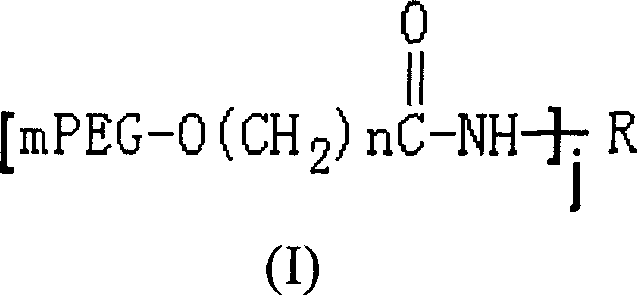 Polyethylene glycol modified L-asparaginyl amine enzyme