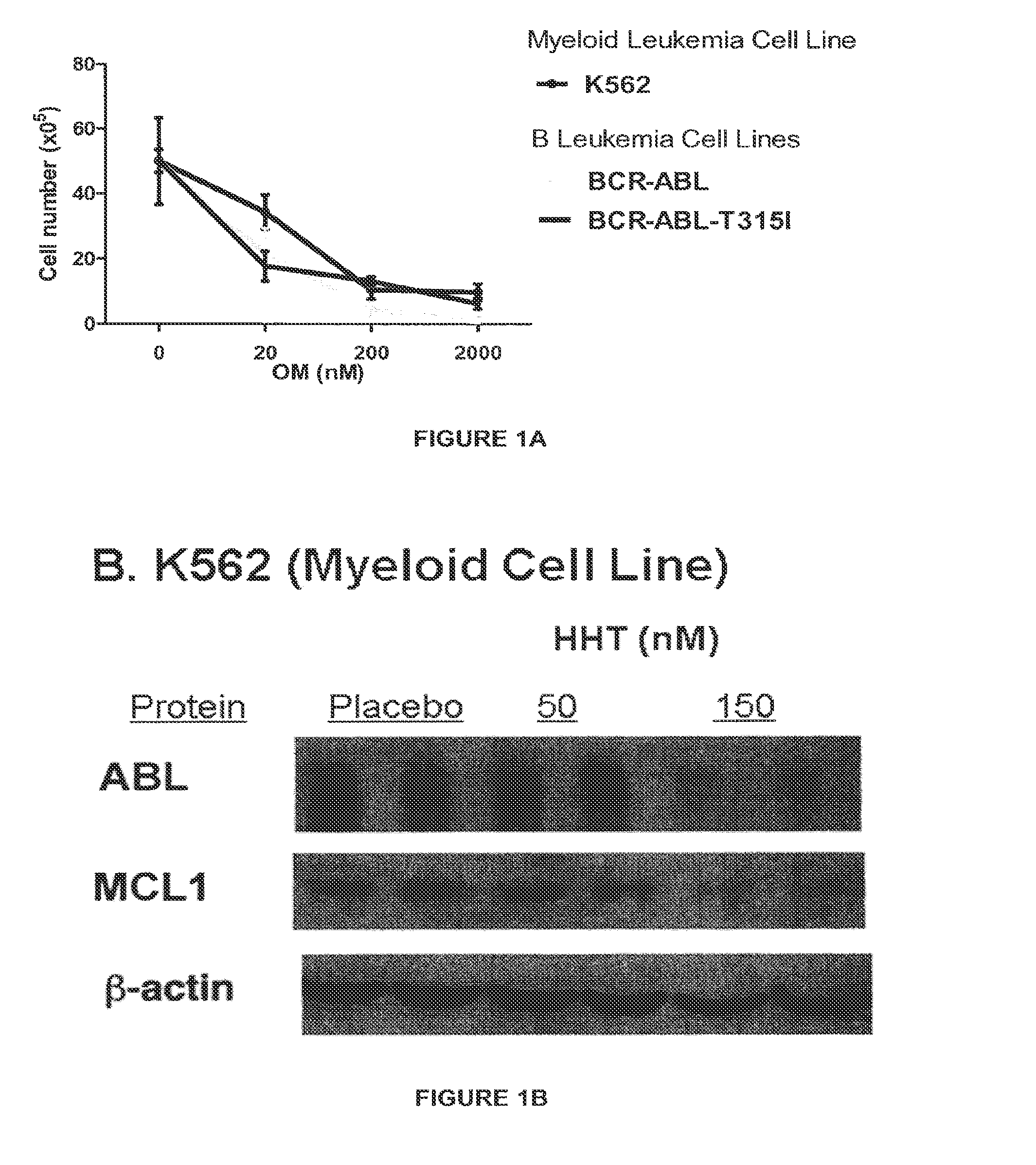 Leukemic Stem Cell Ablation