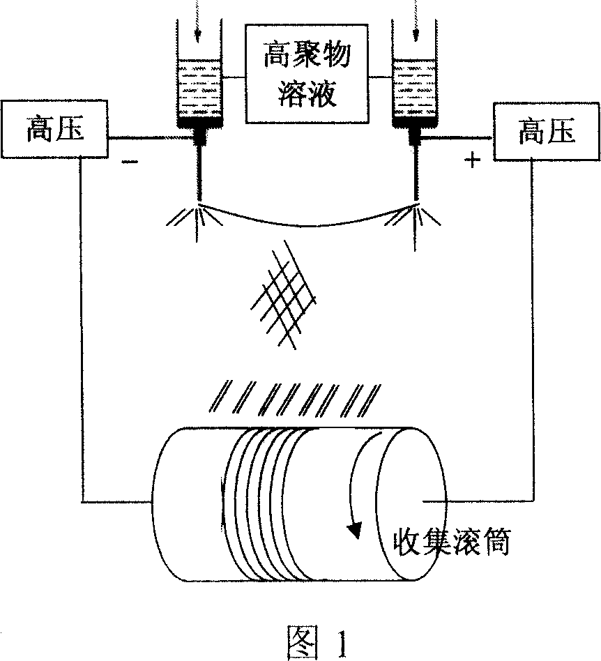 Complex type electrostatic spinning method with positive and negative electrodes in same electric field, and application