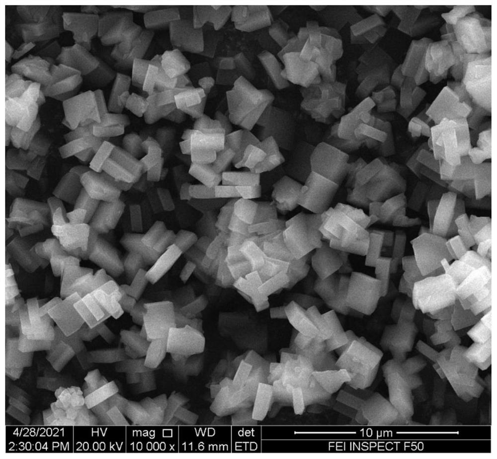 Synthesis method of 3, 5-dimethyl piperidine onium salt template agent and molecular sieve