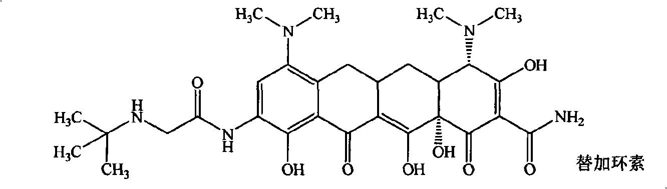 Guanidinoalkanoylamino substituted tetracycline derivatives