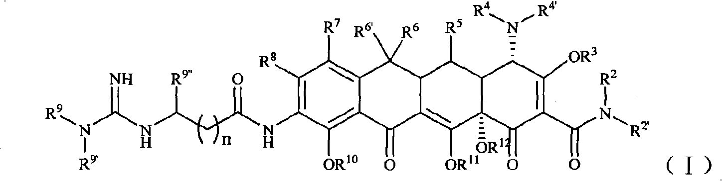 Guanidinoalkanoylamino substituted tetracycline derivatives