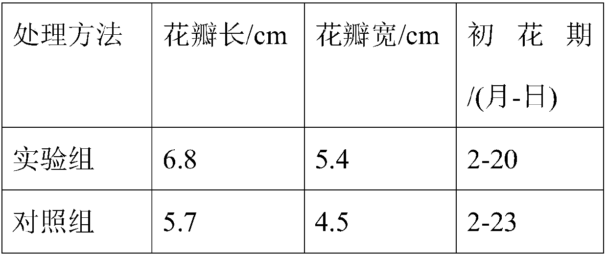 Water-soluble fertilizer for promoting flower bud differentiation, preparation method and applications thereof