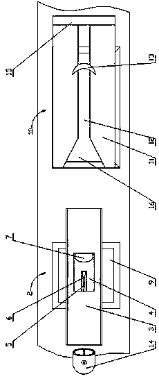 An automatic separation device for duck gizzard and duck gland gastroesophagus