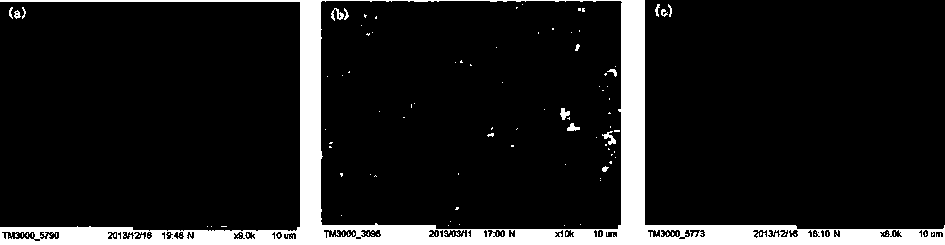 Preparation method of molecularly-imprinted magnetic silica microsphere with hydrophilic external surface