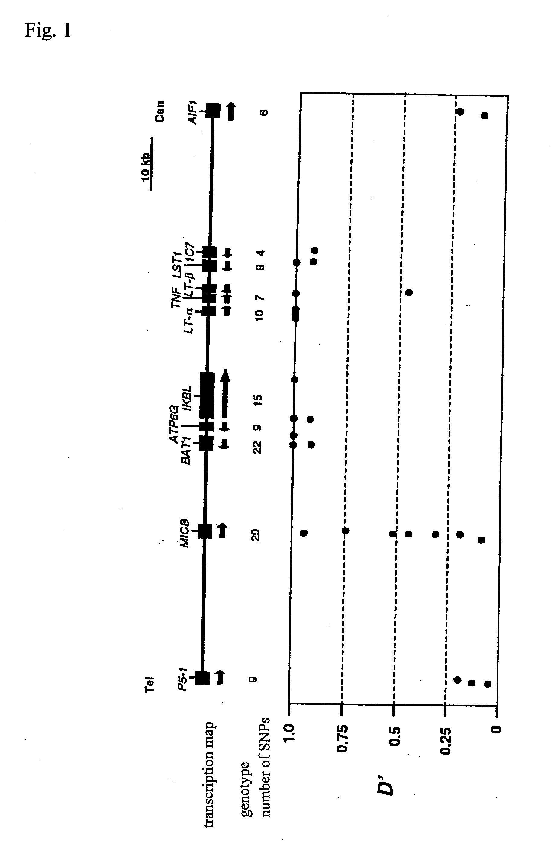 Method of judging inflammatory disease