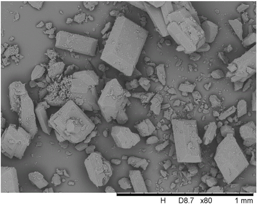 Tildipirosin acetone solvent compound and preparation method