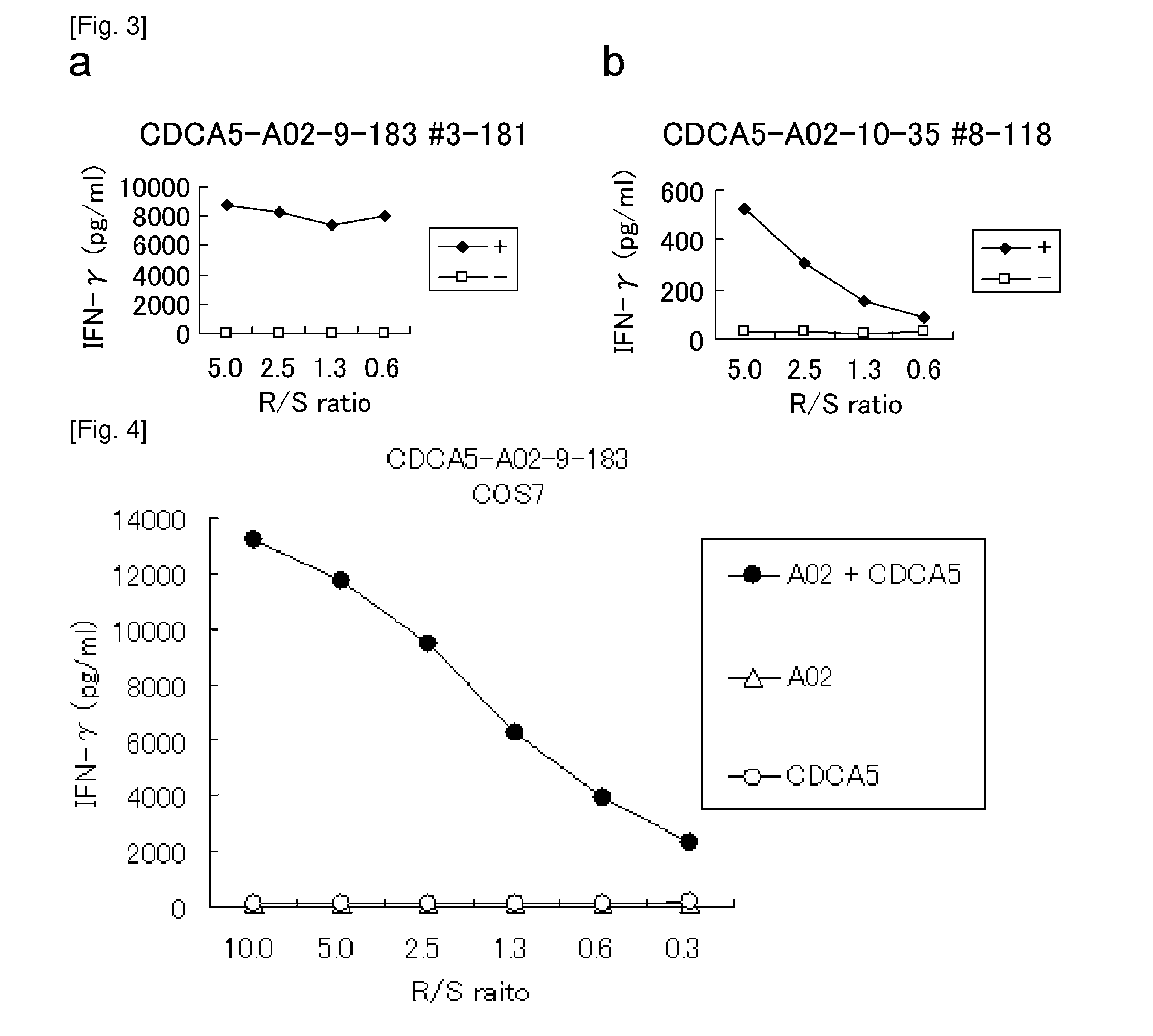 Cdca5 peptides and vaccines including the same