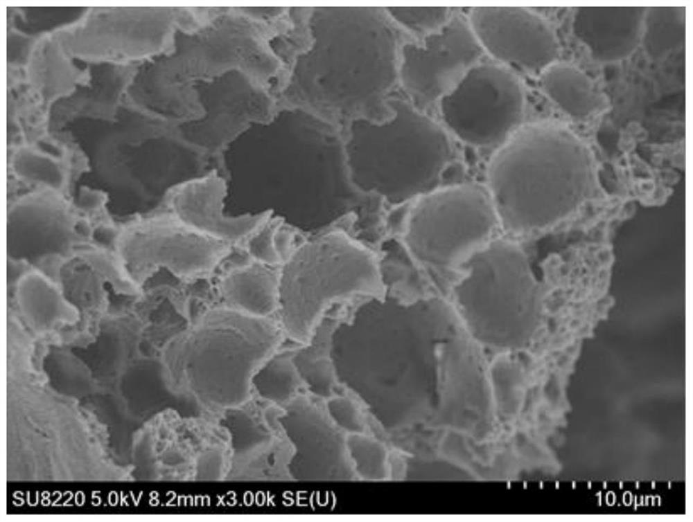 A tissue engineered neural tissue and its construction method