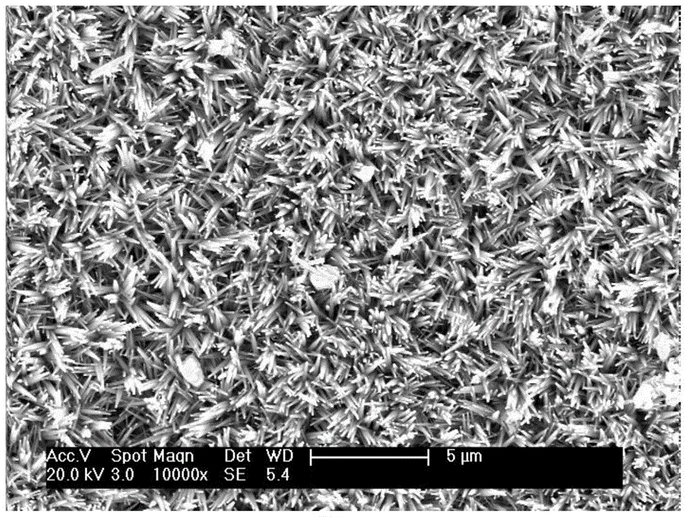 A low-temperature liquid-phase growth method for preparing zno nanocone arrays