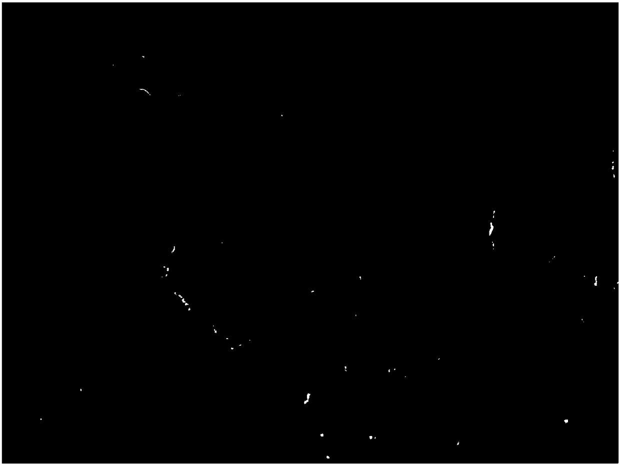 Method for constructing porcine naive embryonic stem cell line