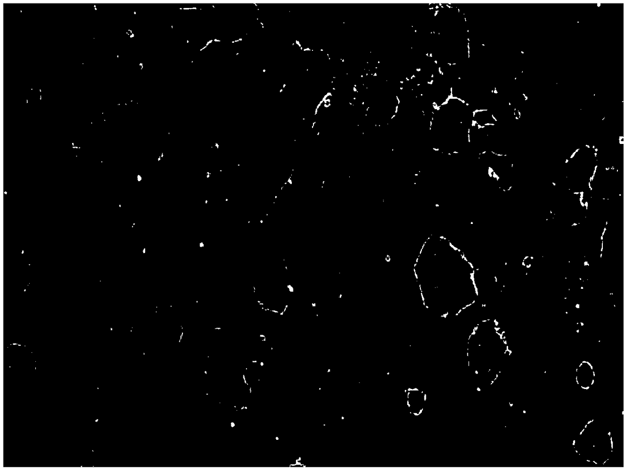 Method for constructing porcine naive embryonic stem cell line