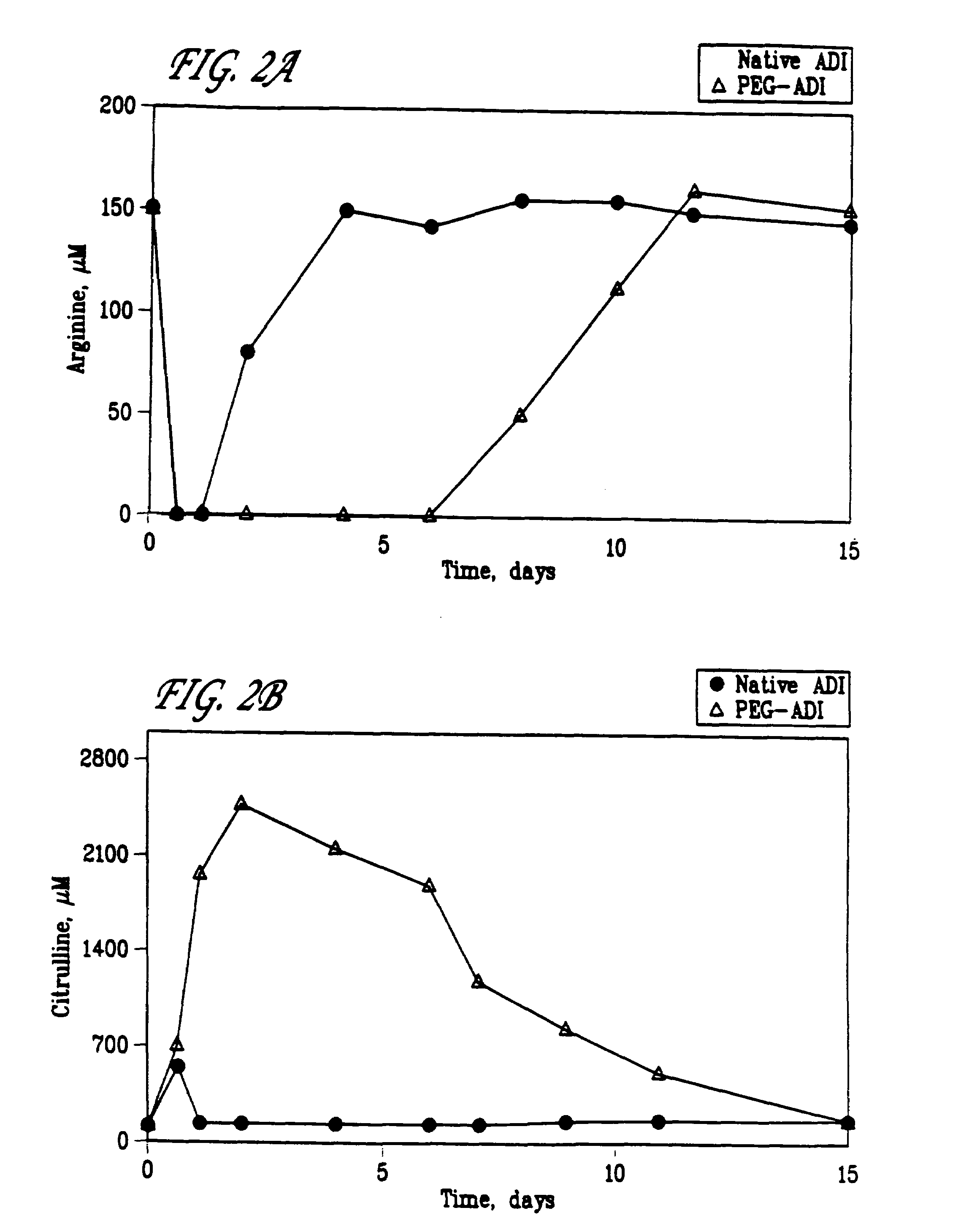 Method of treatment with modified arginine deiminase