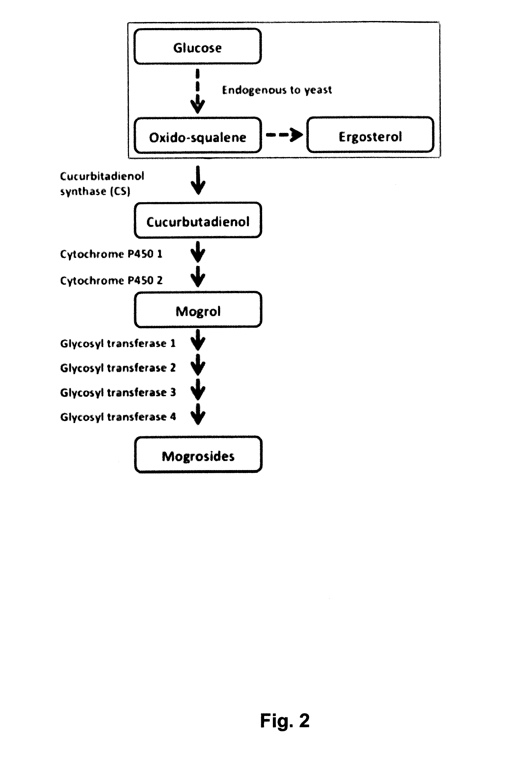 Methods and materials for Biosynthesis of Mogroside Compounds