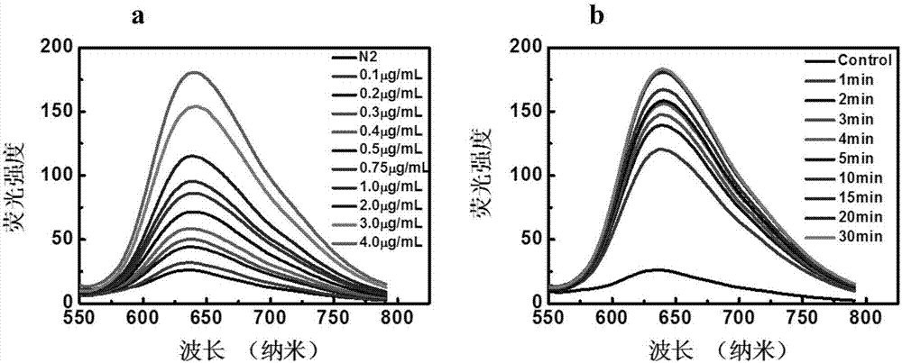 Long-life fluorescein derivative with hypoxia targeting function, synthesis method of derivative and biological application of derivative