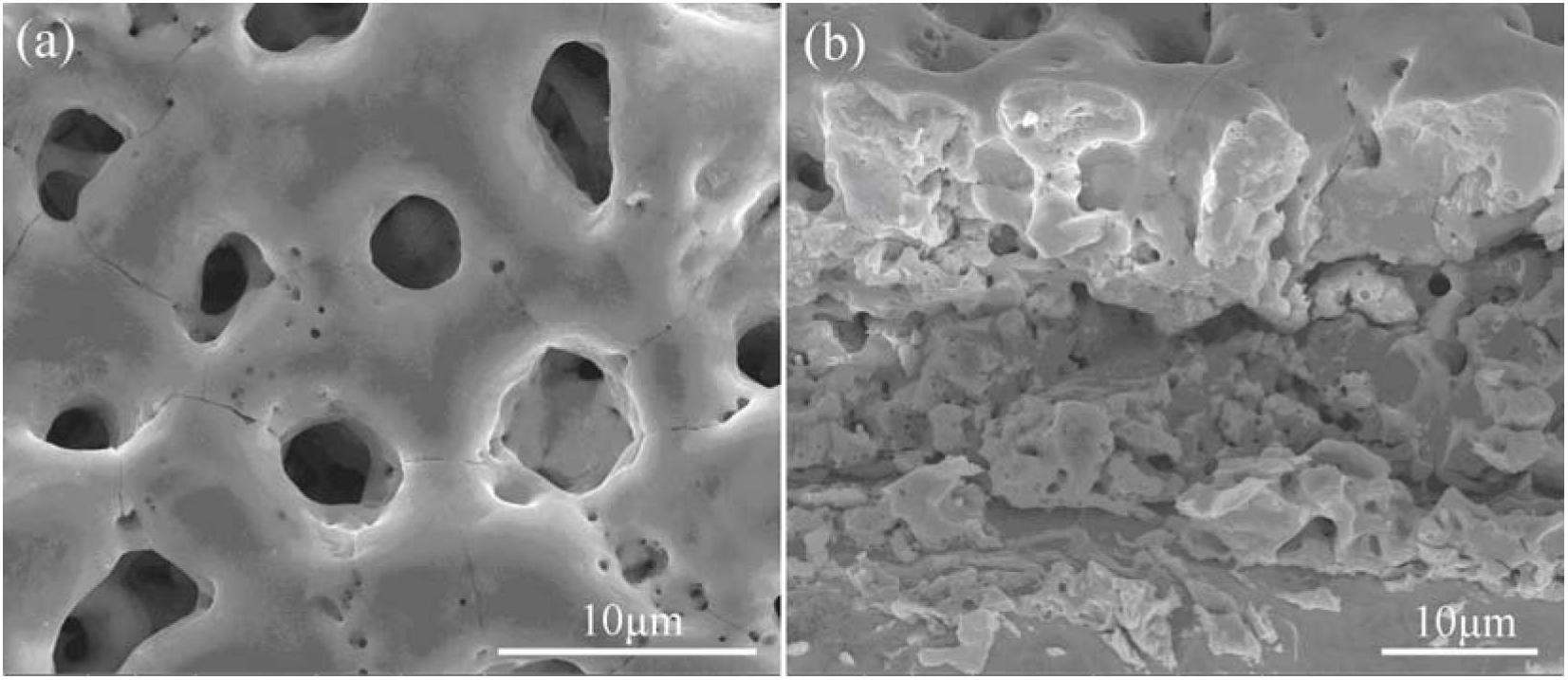 Preparation technology of porous calcium gluconate tantalite/nono-funicular hydroxylapatite bioactive coating