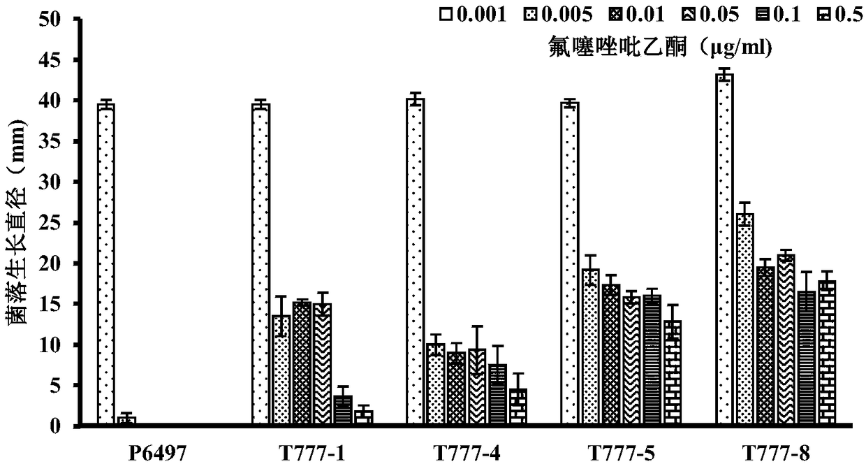 Oxathiapiprolin-resistance selection marker for genetic transformation of phytophthora sojae