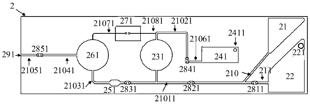 Micro-fluidic chip