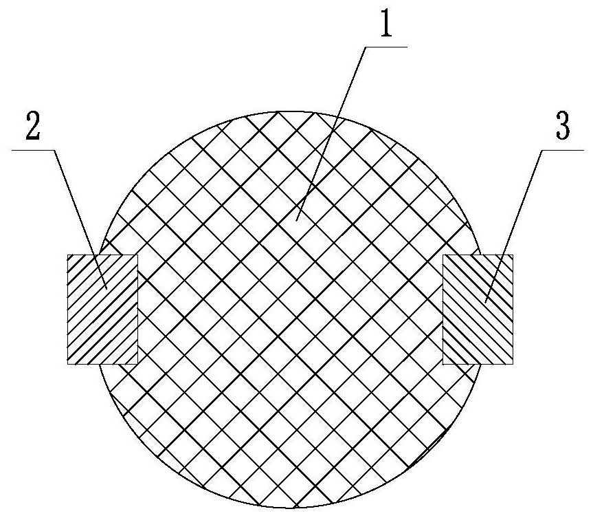 A multifunctional replaceable blasting electrode for plasma blasting experiment system