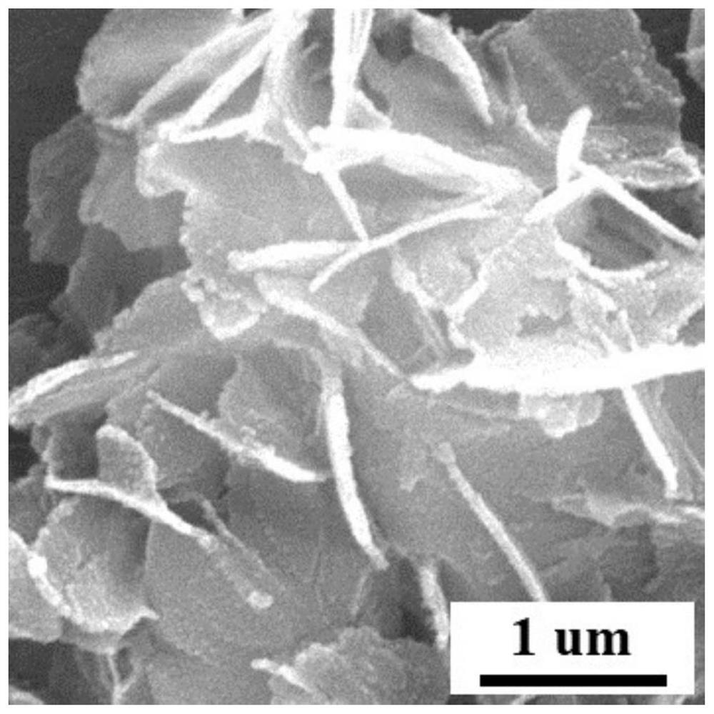 Cobalt metaphosphate/nitrogen carbon oxygen reduction catalyst and preparation method and application thereof