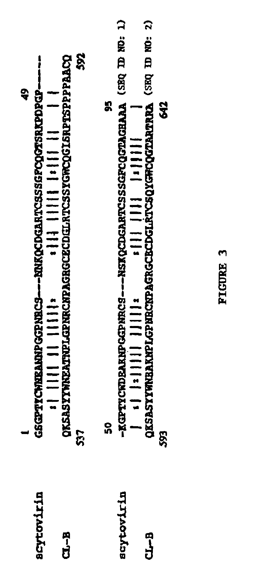 Scytovirins and related conjugates, fusion proteins, nucleic acids, vectors, host cells, compositions, antibodies and methods of using scytovirins