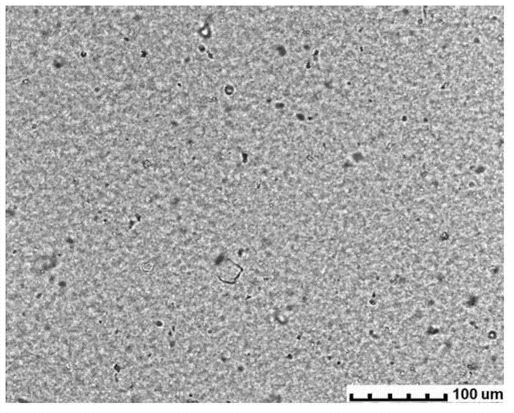 High amylase corn starch paste and preparation method thereof