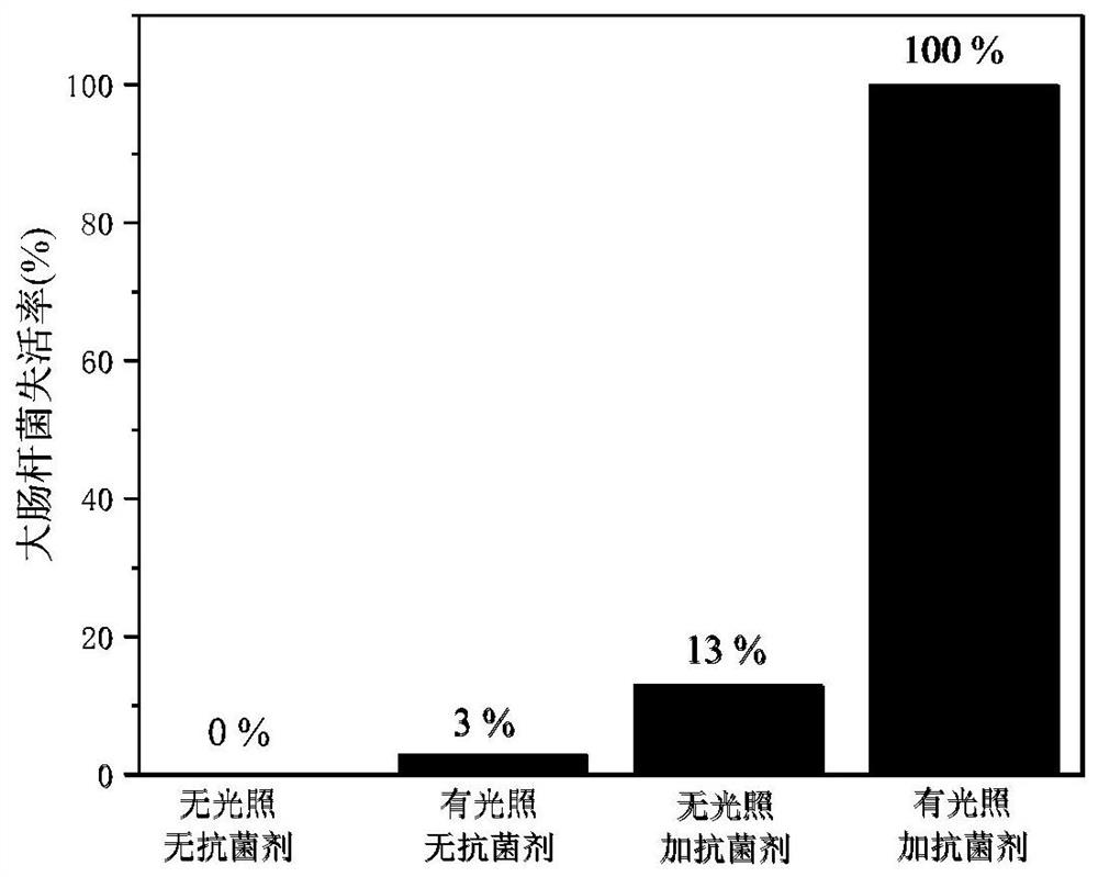 Carbon quantum dot doped carbon nitride composite nano material with photocatalytic antibacterial performance as well as preparation method and application thereof