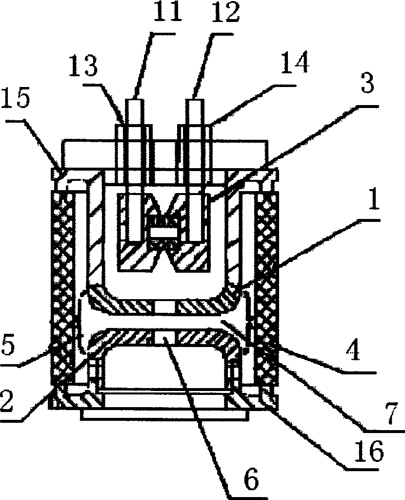 Overvoltage protecting device based on hollow electrode