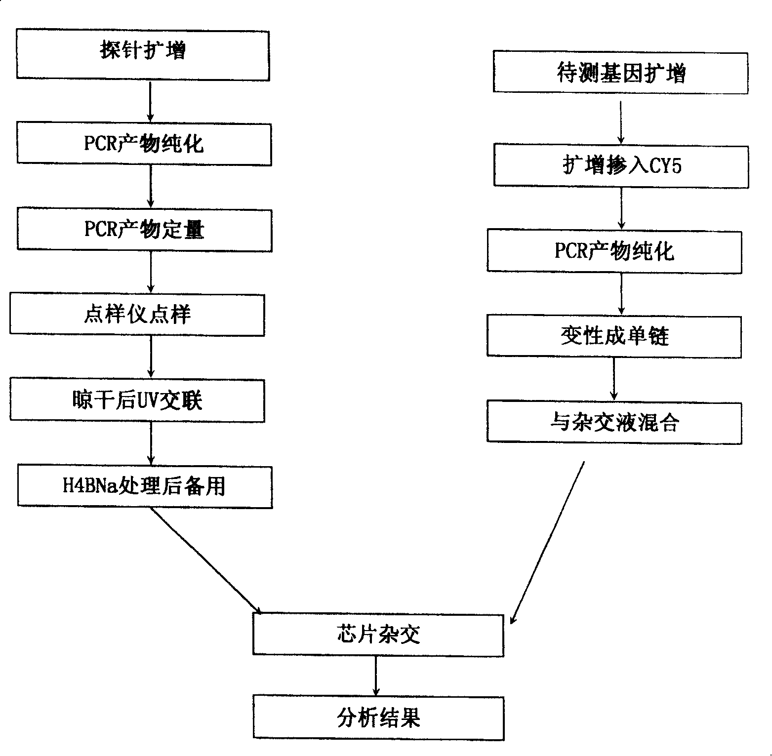 Method of detecting bioterror related pathogen bacteria and its special DNA chip