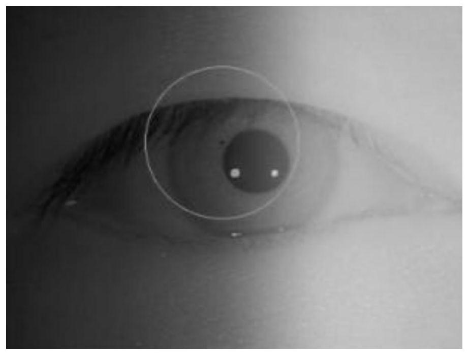 Iris positioning method and device