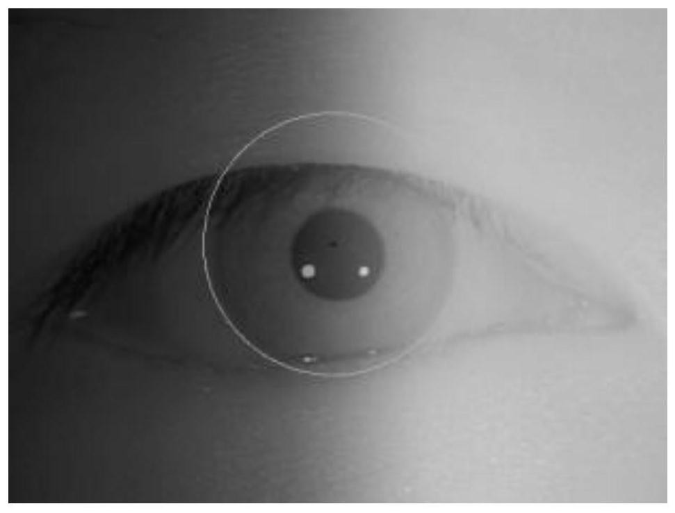 Iris positioning method and device